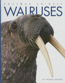 Walruses cover