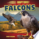 Falcons cover