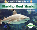 Blacktip Reef Sharks cover