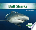 Bull Sharks cover