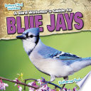 A Bird Watcher's Guide to Blue Jays cover
