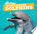 Bottlenose Dolphins cover