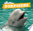 Porpoises cover