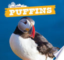 Puffins cover