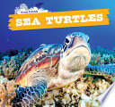 Sea Turtles cover