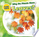 Why Do Plants Have Leaves? cover