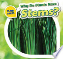 Why Do Plants Have Stems? cover