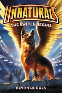 The Battle Begins cover