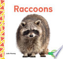 Raccoons cover