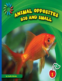 Big and Small cover