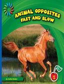 Fast and Slow cover