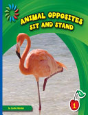 Sit and Stand cover