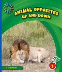 Up and Down cover