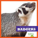 Badgers cover