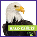 Bald Eagles cover