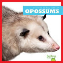 Opossums cover