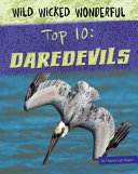 Top 10: Daredevils cover