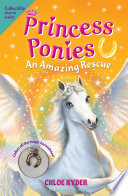 An Amazing Rescue cover