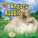 Angora Rabbit cover