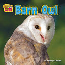 Barn Owl cover