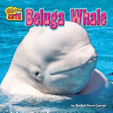 Beluga Whale cover