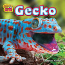 Gecko cover