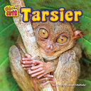 Tarsier cover
