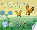From Caterpillar to Butterfly cover
