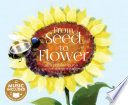 From Seed to Flower cover