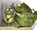 From Tadpole to Frog cover