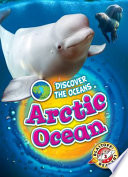 Arctic Ocean cover