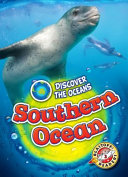 Southern Ocean cover