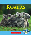 Koalas cover