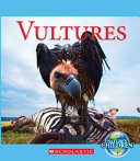 Vultures cover