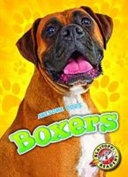 Boxers cover