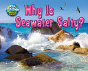 Why Is Seawater Salty? cover