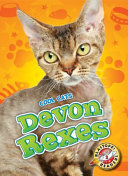 Devon Rexes cover