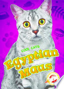 Egyptian Maus cover