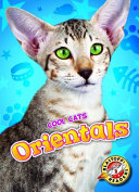 Orientals cover