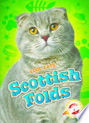 Scottish Folds cover