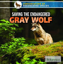 Saving the Endangered Gray Wolf cover
