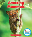 Amazing Mammals cover
