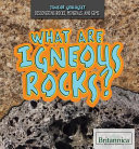 What Are Igneous Rocks? cover