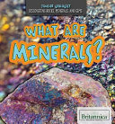 What Are Minerals? cover