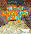 What Are Sedimentary Rocks? cover