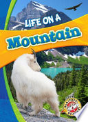 Life on a Mountain cover