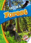 Life in a Forest cover