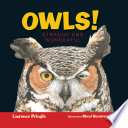 Owls! Strange and Wonderful cover