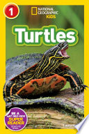 Turtles cover