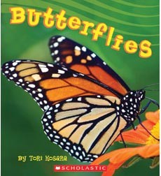 Butterflies cover